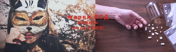 СК Ступино