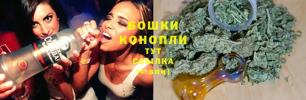 spice Струнино