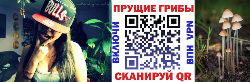 Галлюциногенные грибы мицелий  Брюховецкая 